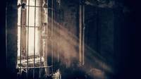 Quelle: Quelle: unsplash.com/@redaquamedia